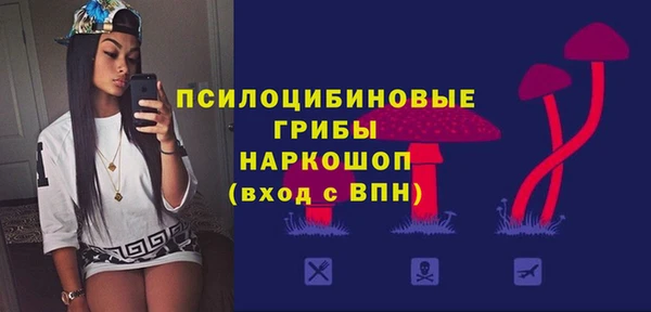 дживик Алексеевка