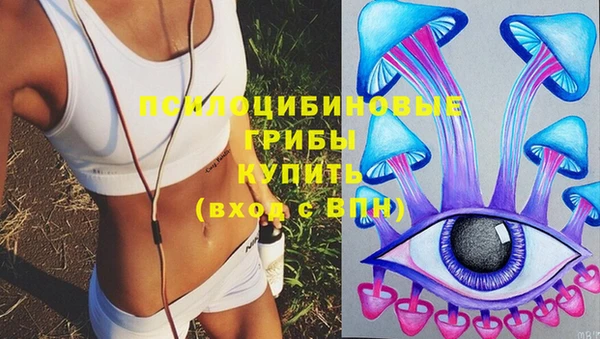 mdpv Алзамай