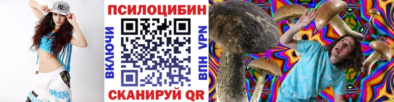 Купить где  Каменск-Шахтинский  Псилоцибиновые грибы Psilocybe 